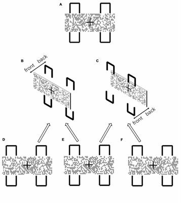 Perceptual Grouping of Closed Contours Is Disrupted by the Interpretation of the Scene Layout